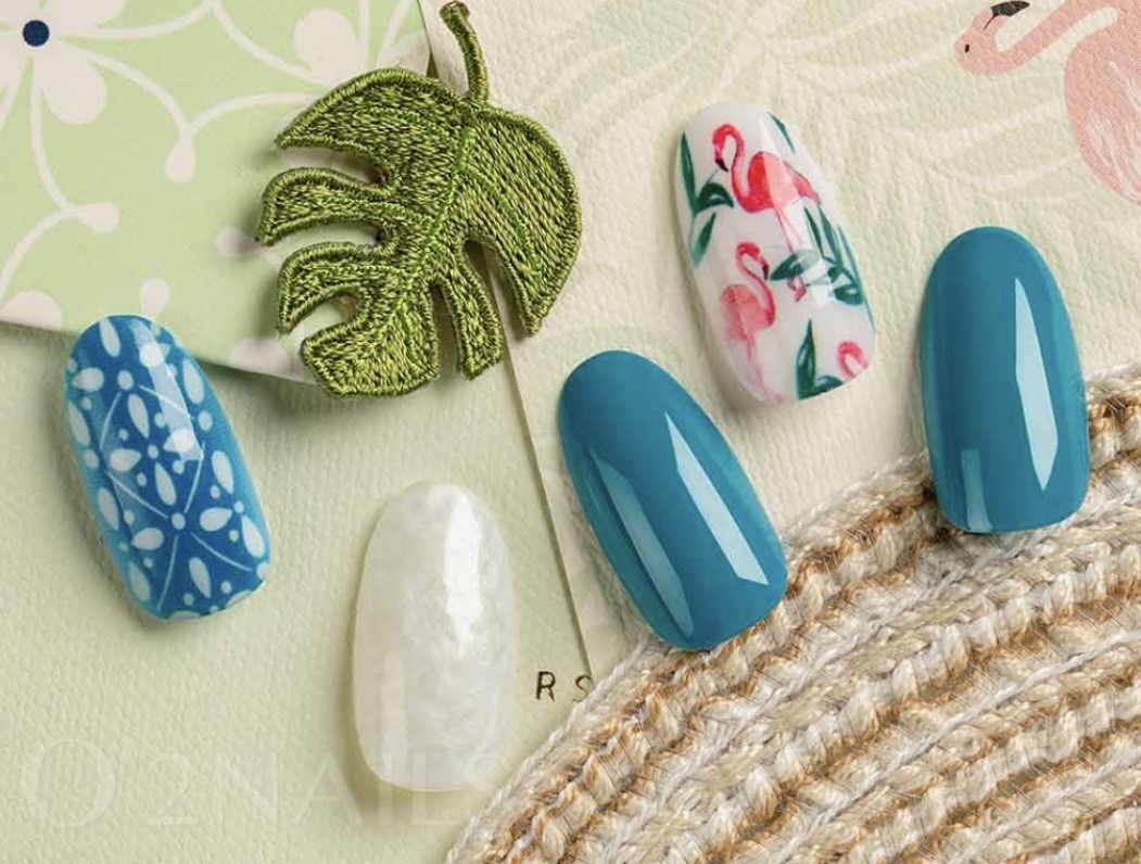 Flamingo Teal