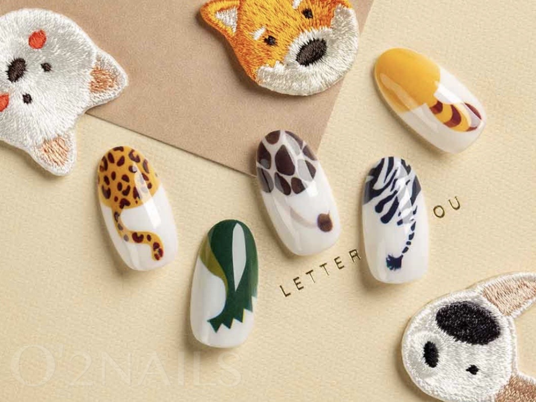 Wild Safari